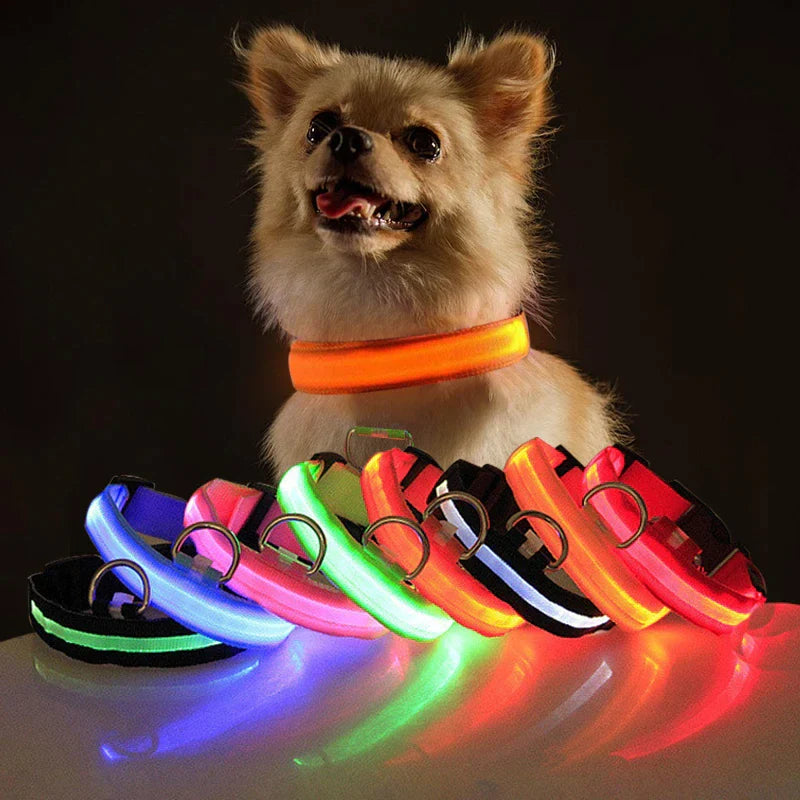 LED Safety Dog Collar β Waterproof & Adjustable Night Glow