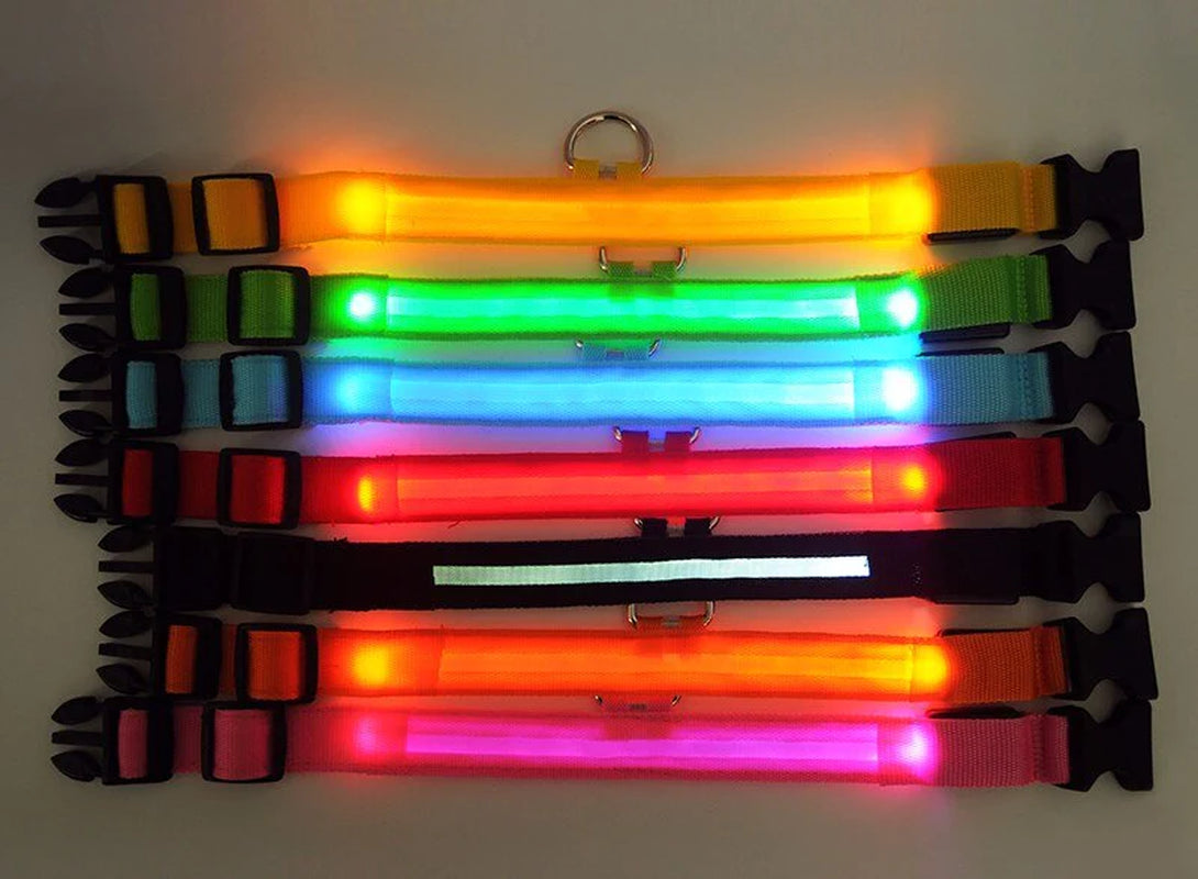 LED Safety Dog Collar – Waterproof & Adjustable Night Glow