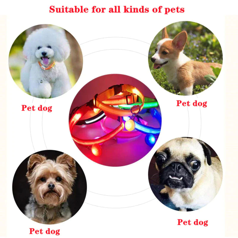 LED Safety Dog Collar – Waterproof & Adjustable Night Glow