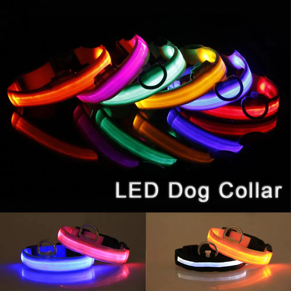 LED Safety Dog Collar – Waterproof & Adjustable Night Glow