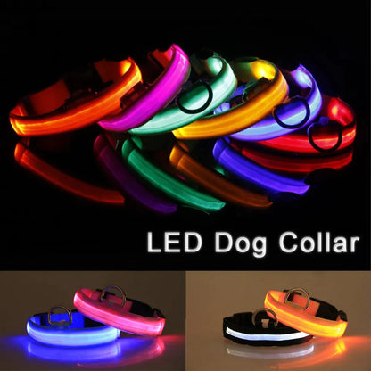 LED Safety Dog Collar – Waterproof & Adjustable Night Glow