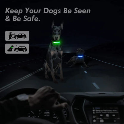LED Safety Dog Collar – Waterproof & Adjustable Night Glow