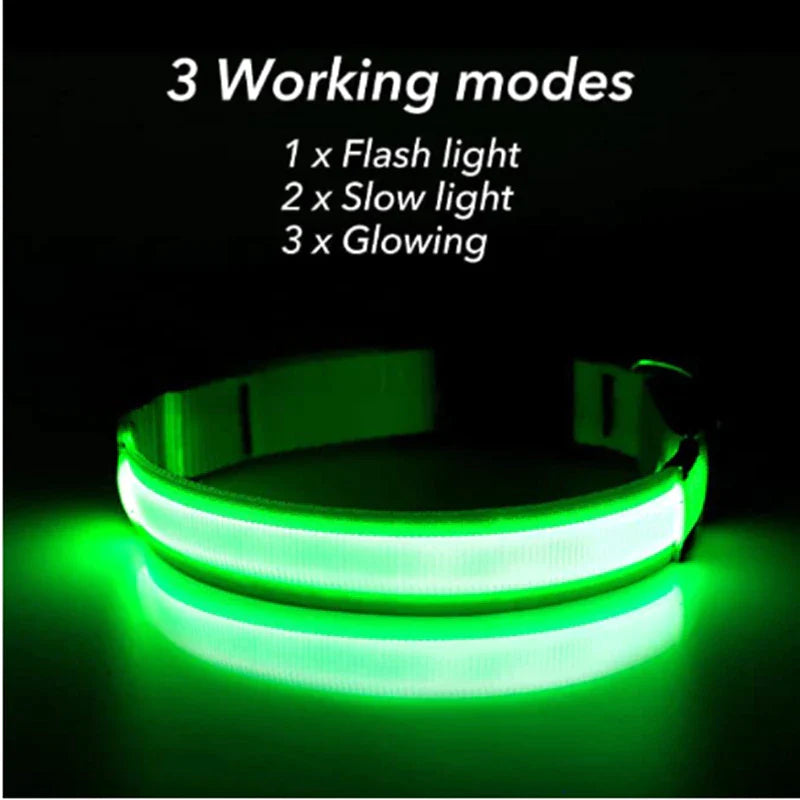 LED Safety Dog Collar – Waterproof & Adjustable Night Glow