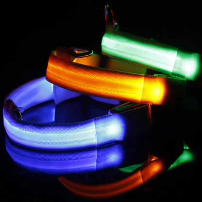 LED Safety Dog Collar – Waterproof & Adjustable Night Glow