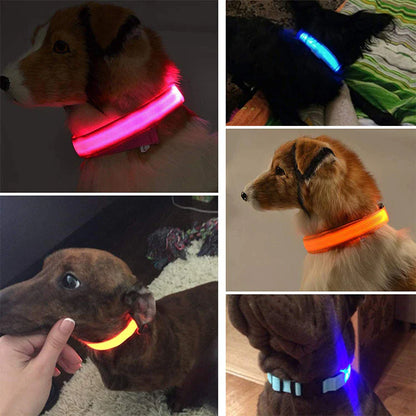 LED Safety Dog Collar – Waterproof & Adjustable Night Glow