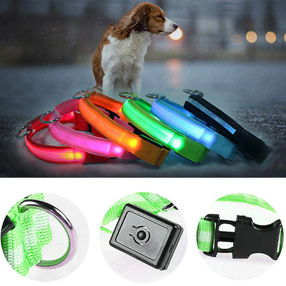 LED Safety Dog Collar – Waterproof & Adjustable Night Glow