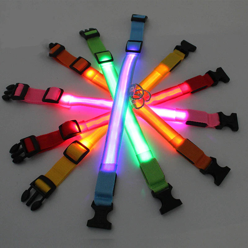 LED Safety Dog Collar – Waterproof & Adjustable Night Glow