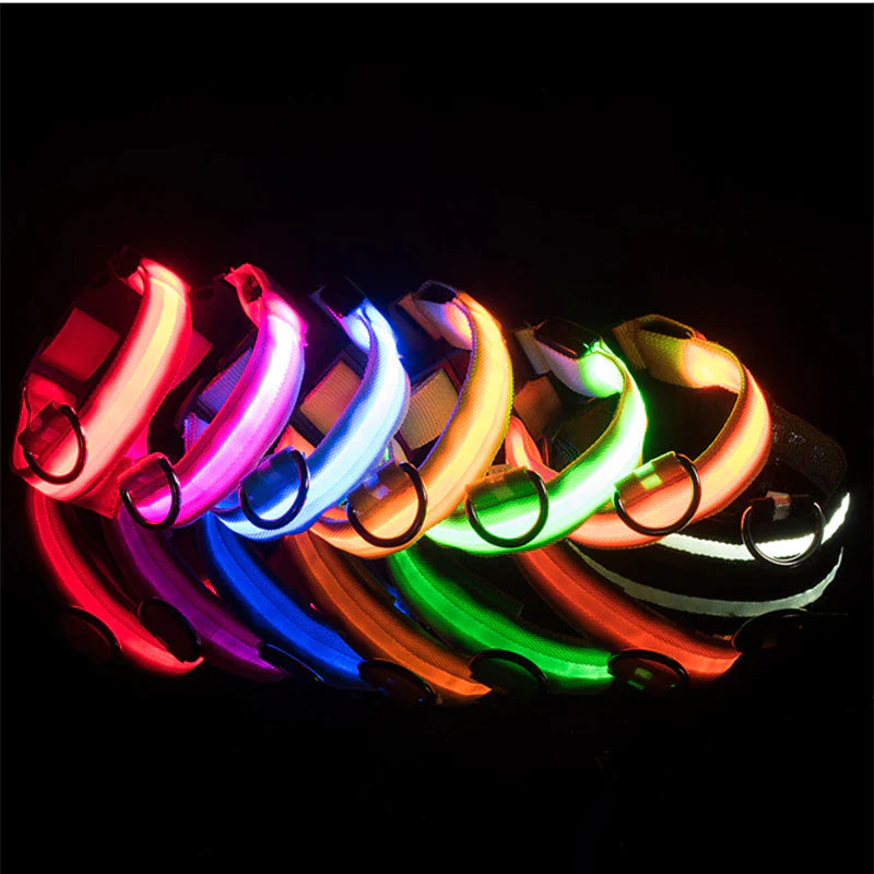 LED Safety Dog Collar – Waterproof & Adjustable Night Glow