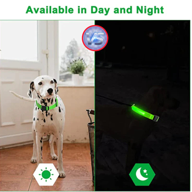 LED Safety Dog Collar – Waterproof & Adjustable Night Glow